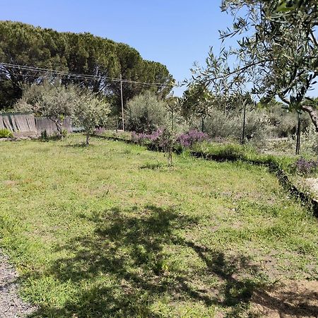 Villa Egle Belpasso, Villa Vacanza Con Piscina Buitenkant foto