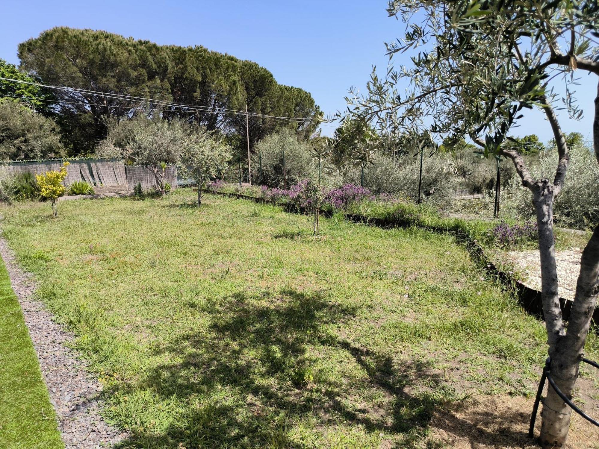 Villa Egle Belpasso, Villa Vacanza Con Piscina Buitenkant foto