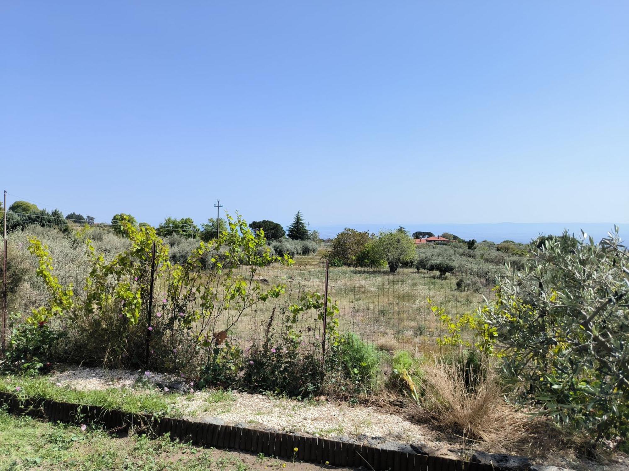 Villa Egle Belpasso, Villa Vacanza Con Piscina Buitenkant foto
